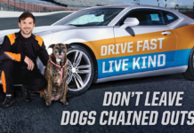 El piloto de NASCAR Daniel Suárez está impulsado a ayudar a los perros abandonados en la campaña de PETA